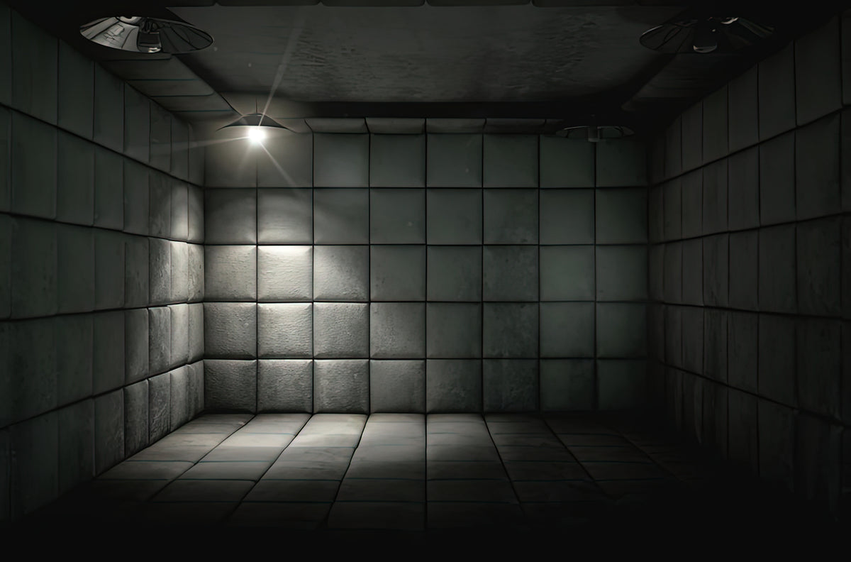 White Padded Cell Art Print | Fine Art Print | RedKalion
