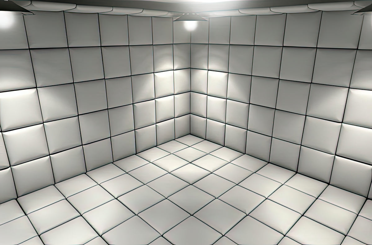 White Padded Cell #5 Fine Art Print | RedKalion