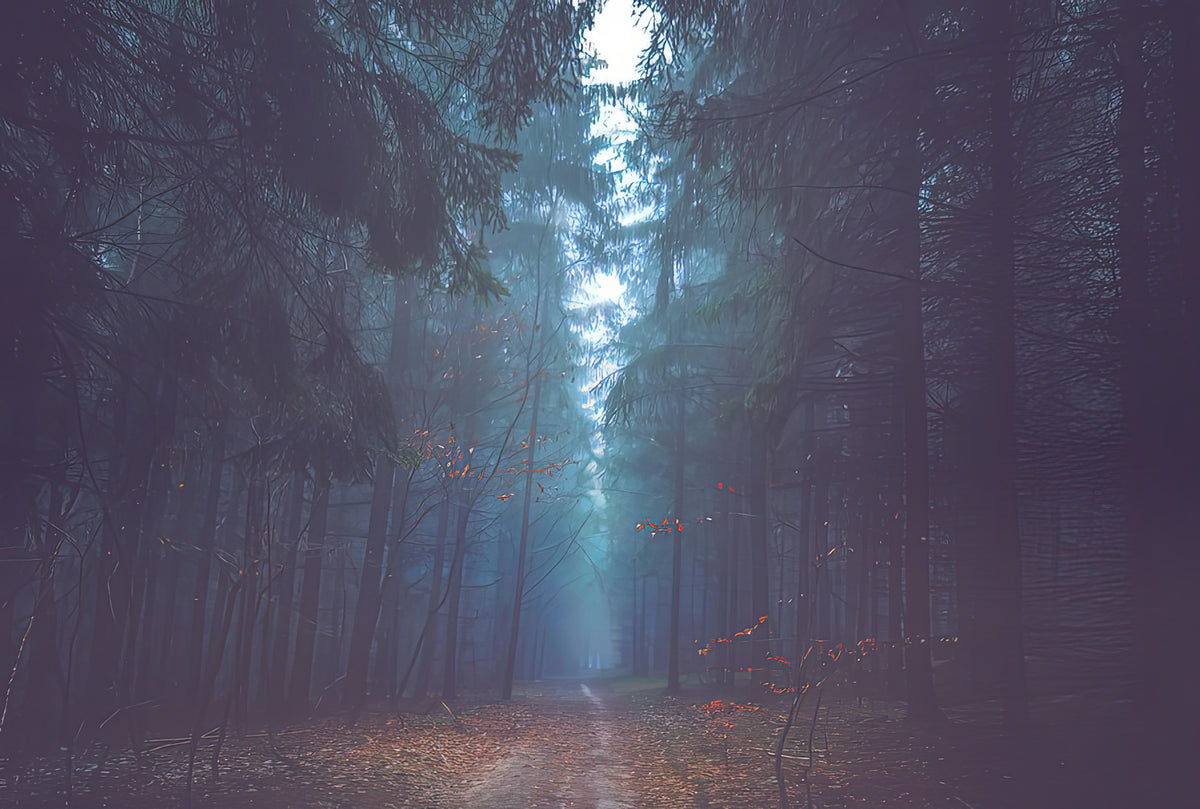 Witch Forest Art Print | Premium Fine Art Print | RedKalion