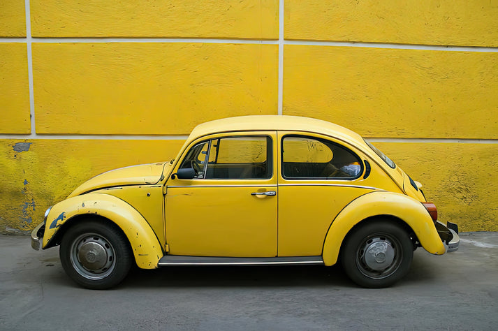 Yellow Bug Art Print | Premium Fine Art Reproduction | RedKalion