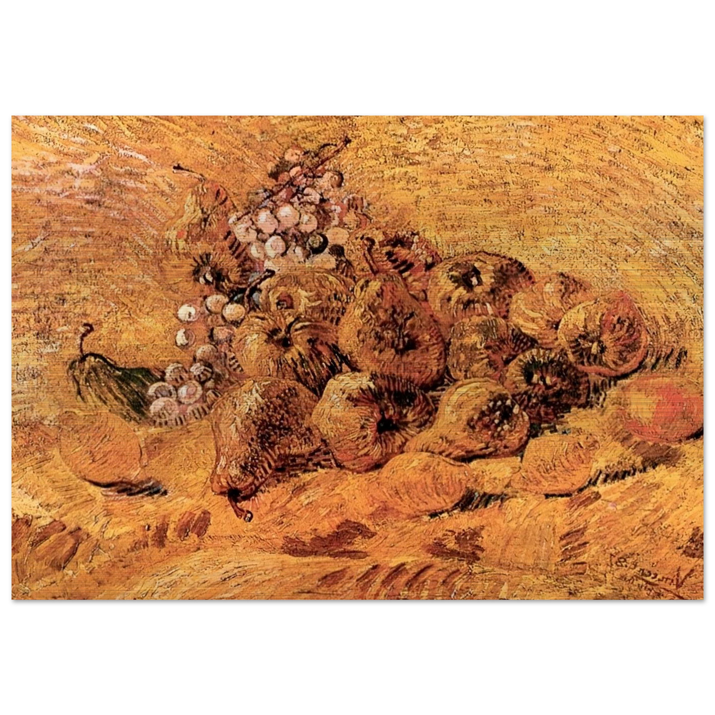 Still Life with Grapes, Pears and Lemons - Vincent van Gogh Brushed Aluminum Print - 70x100 cm / 28x40 inches | Vincent van Gogh Aluminum Print | Vincent van Gogh Prints