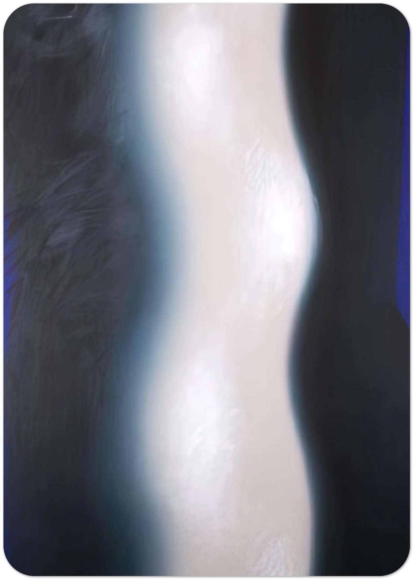 a1188e82-120c-4f10-8142-9e9fd859bbbd