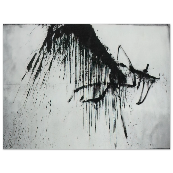 Salvador Dali - NIGHT IN THE HOTEL ABSTRACT IN BLACK AND WHITE  75x100 cm / 30x40inches Fine Art Poster