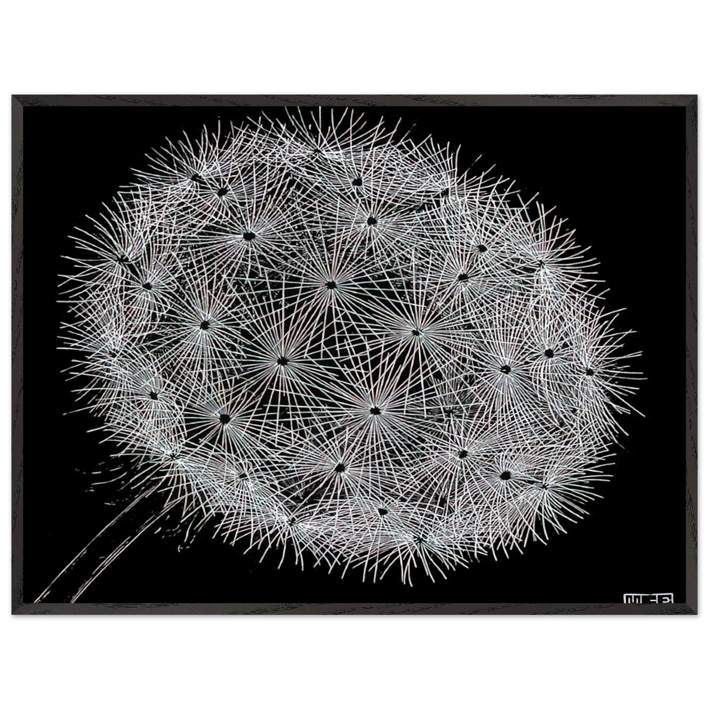 MC Escher - BLOWBALL II Wall Art - 60x80 cm / 24x32 inches - Premium Wooden Framed Poster With Fine Art Paper-canvas - Black frame