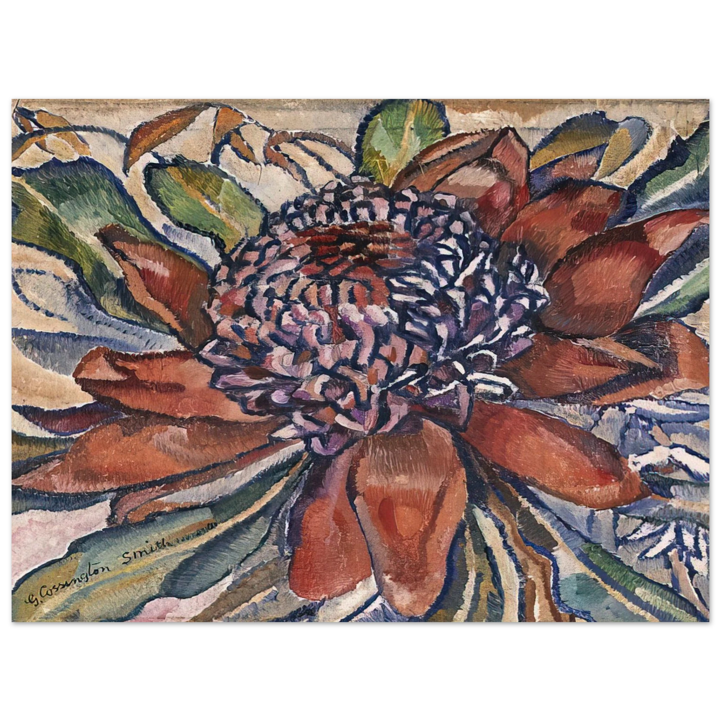 Grace Cossington Smith - Waratah - 1928  75x100 cm / 30x40inches Fine Art Poster