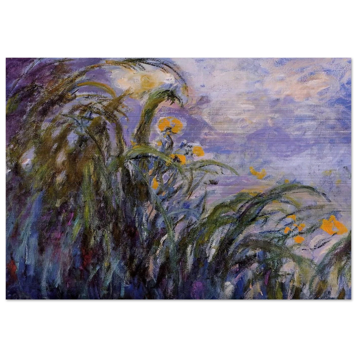 Yellow Irises - claude monet Brushed Aluminum Print - 70x100 cm / 28x40 inches | claude monet Aluminum Print | claude monet Prints