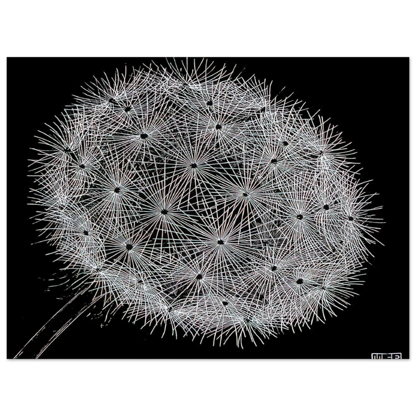 MC Escher - BLOWBALL II Wall Art - 21x29.7 cm / 8x12" - Fine Art Poster-canvas - -