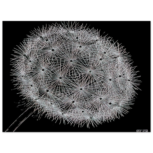 MC Escher - BLOWBALL II Wall Art - 21x29.7 cm / 8x12" - Fine Art Poster-canvas - -