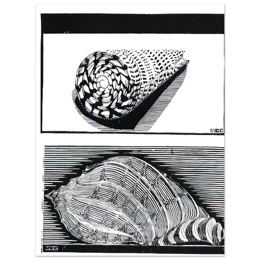 MC Escher - SEA SHELLS Wall Art - 21x29.7 cm / 8x12" - Fine Art Poster - -