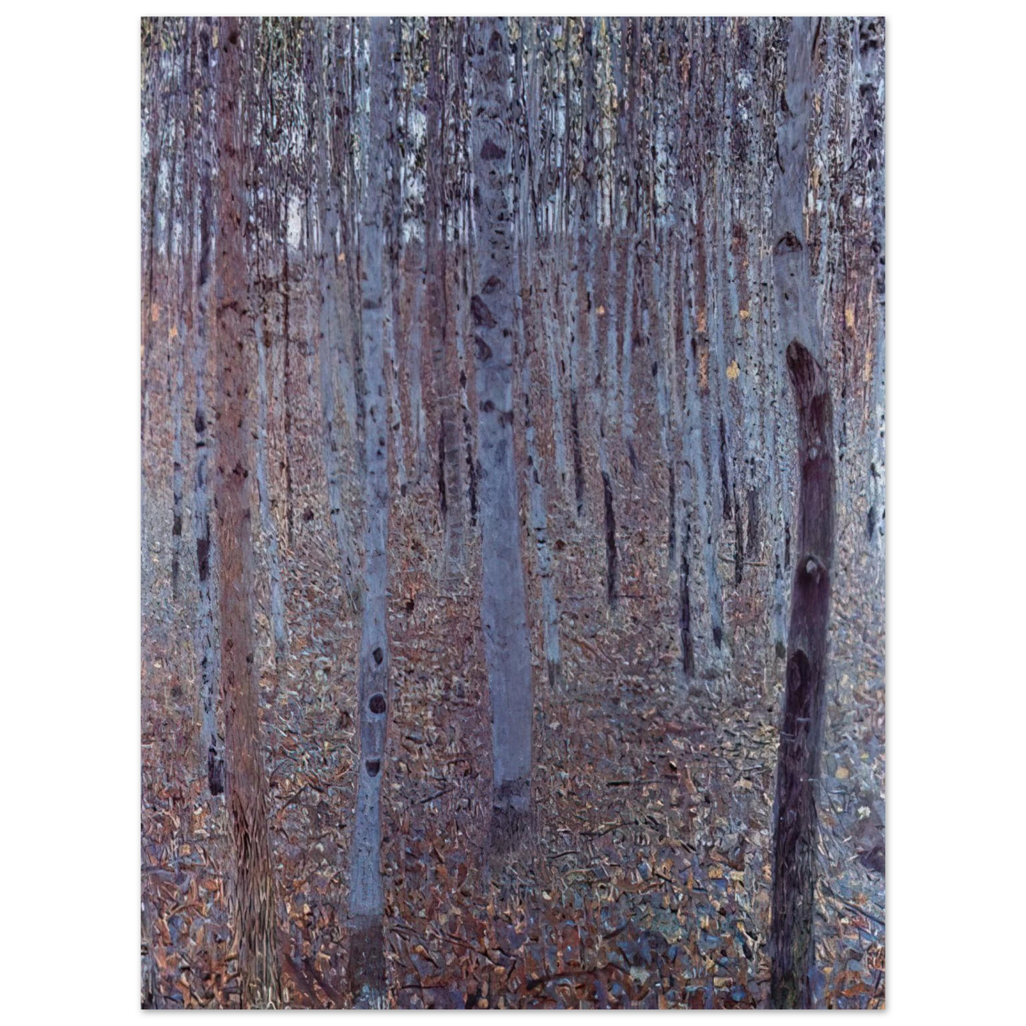 Gustav Klimt - BUCHENHAIN  75x100 cm / 30x40inches Fine Art Poster