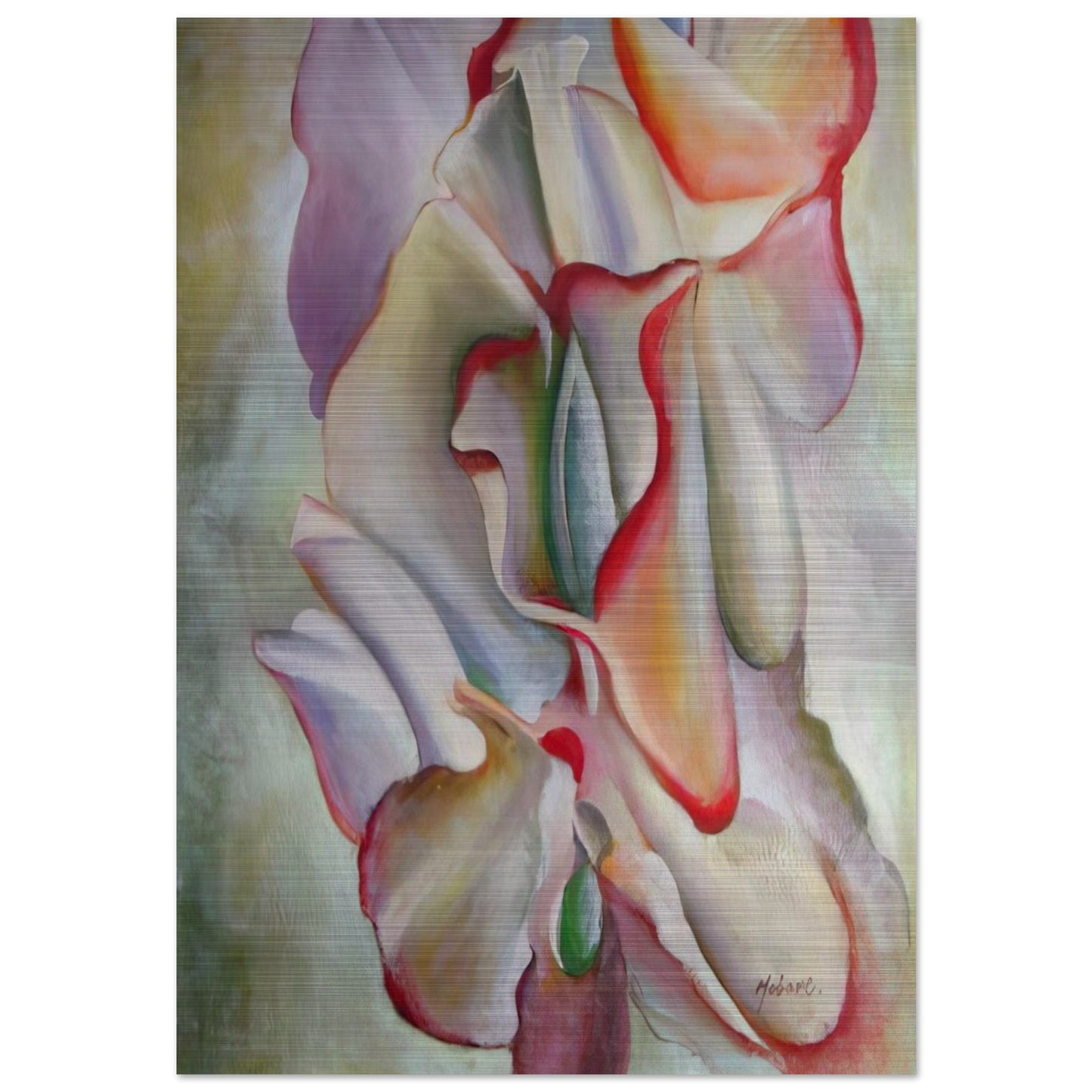 Pink Sweet Peas - Georgia O'Keeffe Brushed Aluminum Print - 70x100 cm / 28x40 inches | Georgia O'Keeffe Aluminum Print | Georgia O'Keeffe Prints