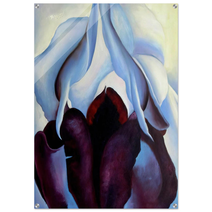 Flower of Life - Georgia O'Keeffe Acrylic Print - 70x100 cm / 28x40″ inches | Georgia O'Keeffe Wall Art | Georgia O'Keeffe Prints