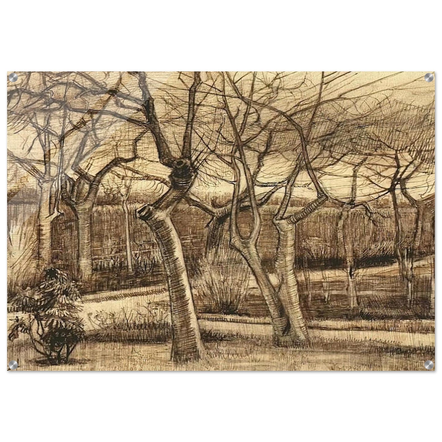 The Vicarage Garden - Vincent van Gogh Acrylic Print - 70x100 cm / 28x40″ inches