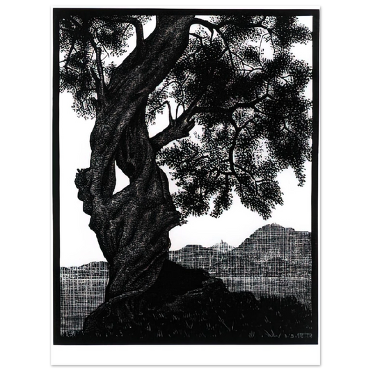 MC Escher - OLD OLIVE TREE CORSICA Wall Art - 21x29.7 cm / 8x12" - Fine Art Poster - -
