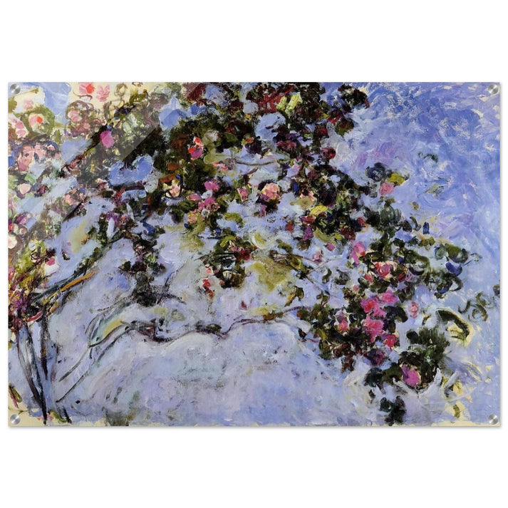The Rose Bush - claude monet Acrylic Print - 70x100 cm / 28x40″ inches | claude monet Wall Art | claude monet Prints