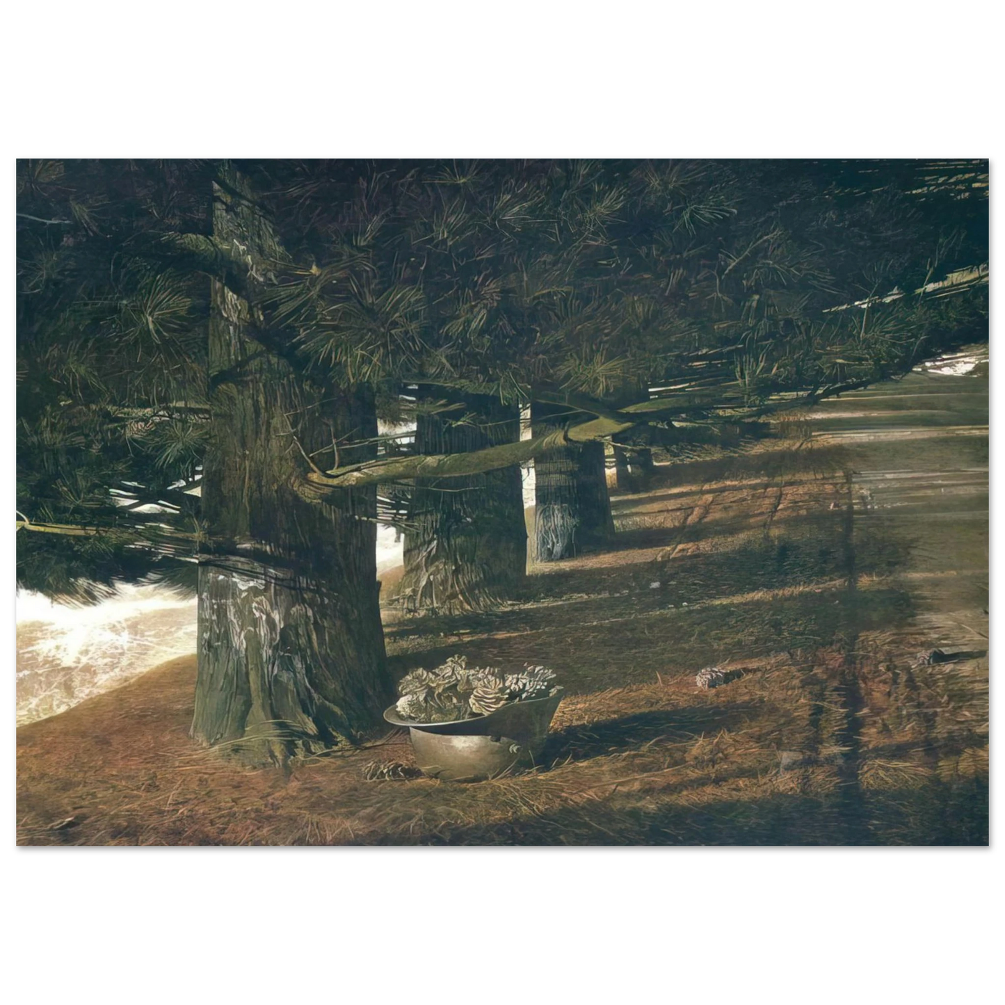 Andrew Wyeth - PINE BARON Wall Art - 30x40 cm / 12x16 inches - Fine Art Poster-canvas - -