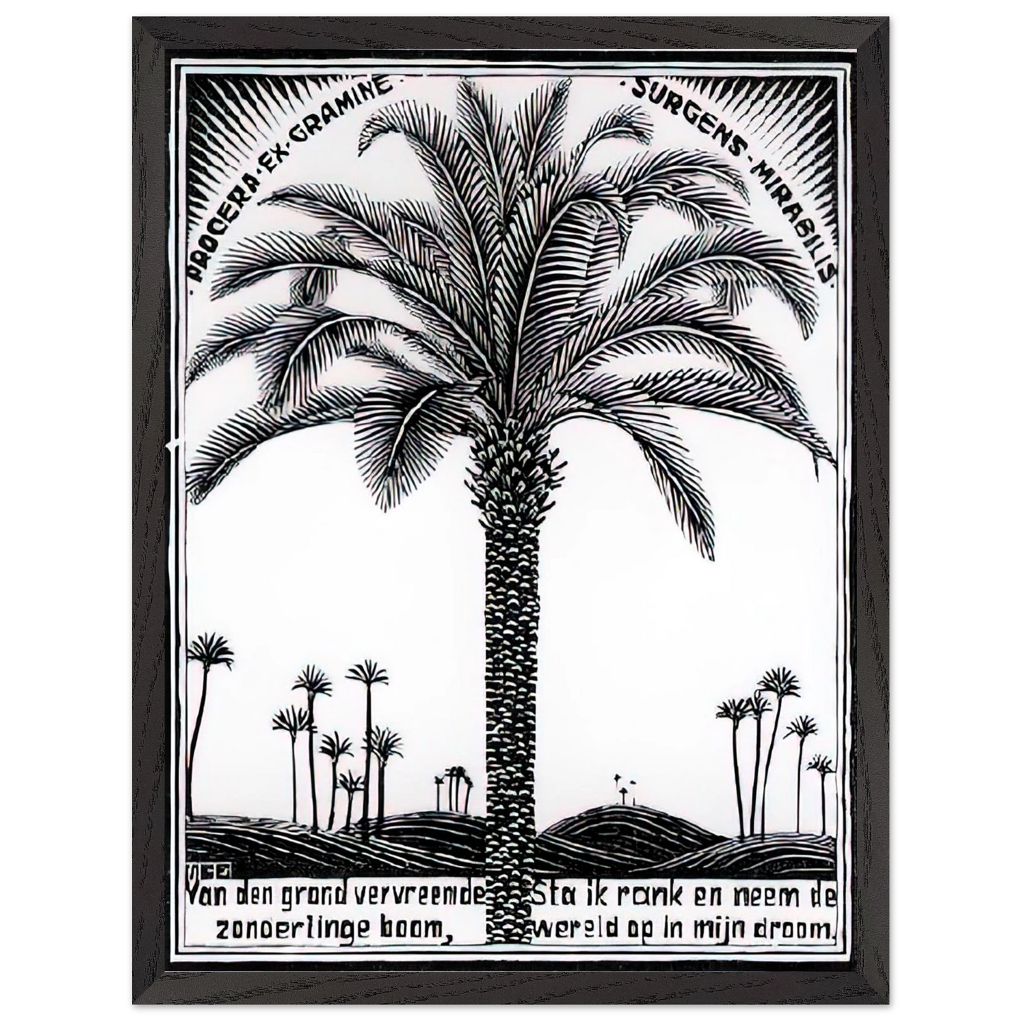 MC Escher - PALM TREE 1 Wall Art - 30x40 cm / 12x16 inches - Premium Wooden Framed Poster With Fine Art Paper-canvas - Wood frame