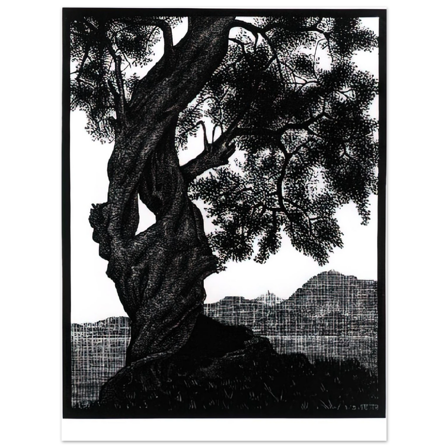 MC Escher - OLD OLIVE TREE CORSICA Wall Art - 30x40 cm / 12x16 inches - Fine Art Poster - -