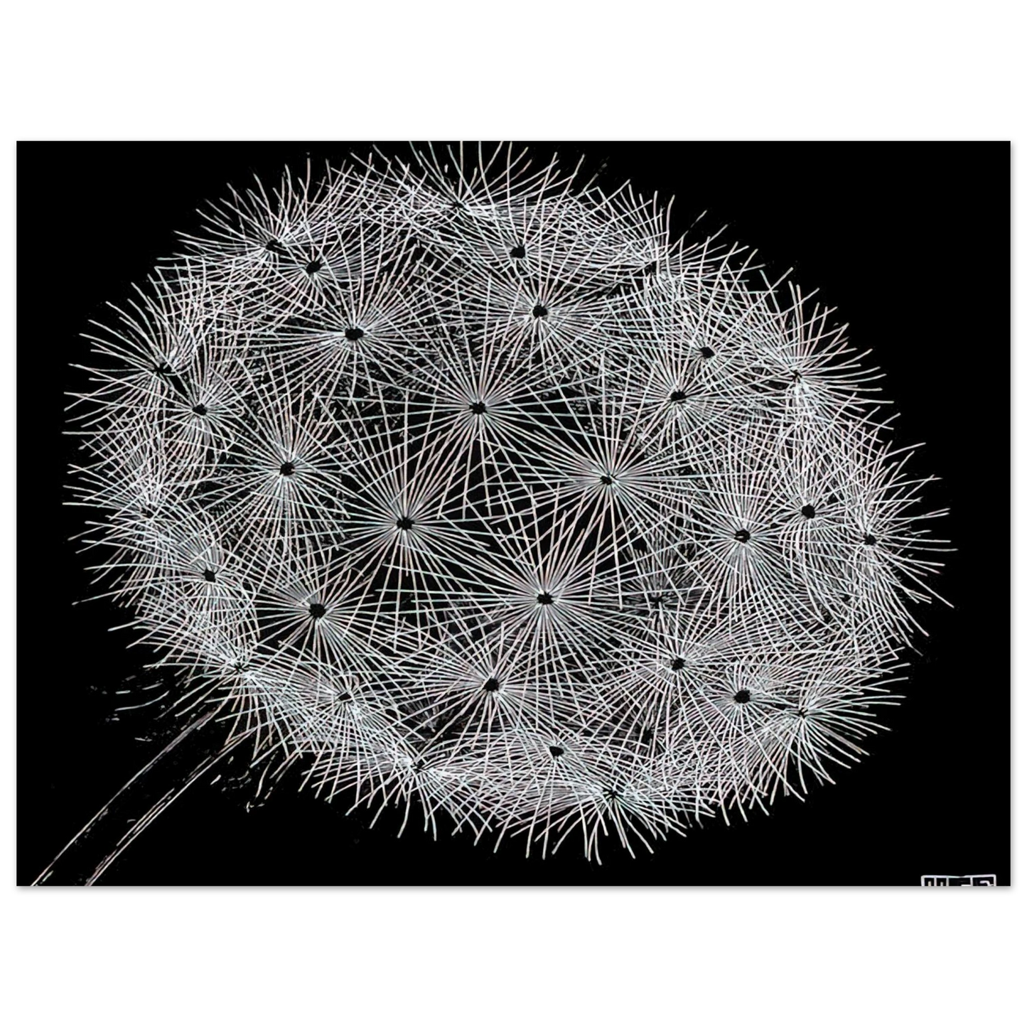 MC Escher - BLOWBALL II Wall Art - 30x40 cm / 12x16 inches - Premium Wooden Framed Poster With Fine Art Paper-canvas - White frame