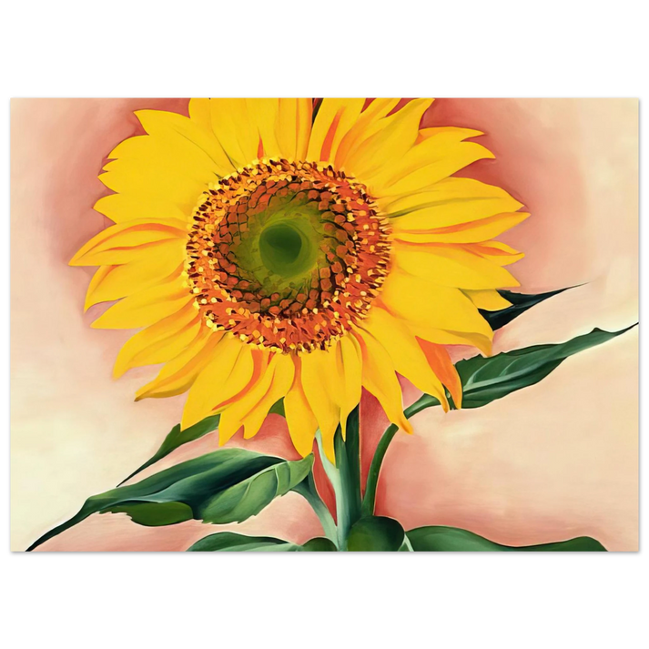 Georgia O'Keeffe - A Sunflower from Maggie Fine Art Poster