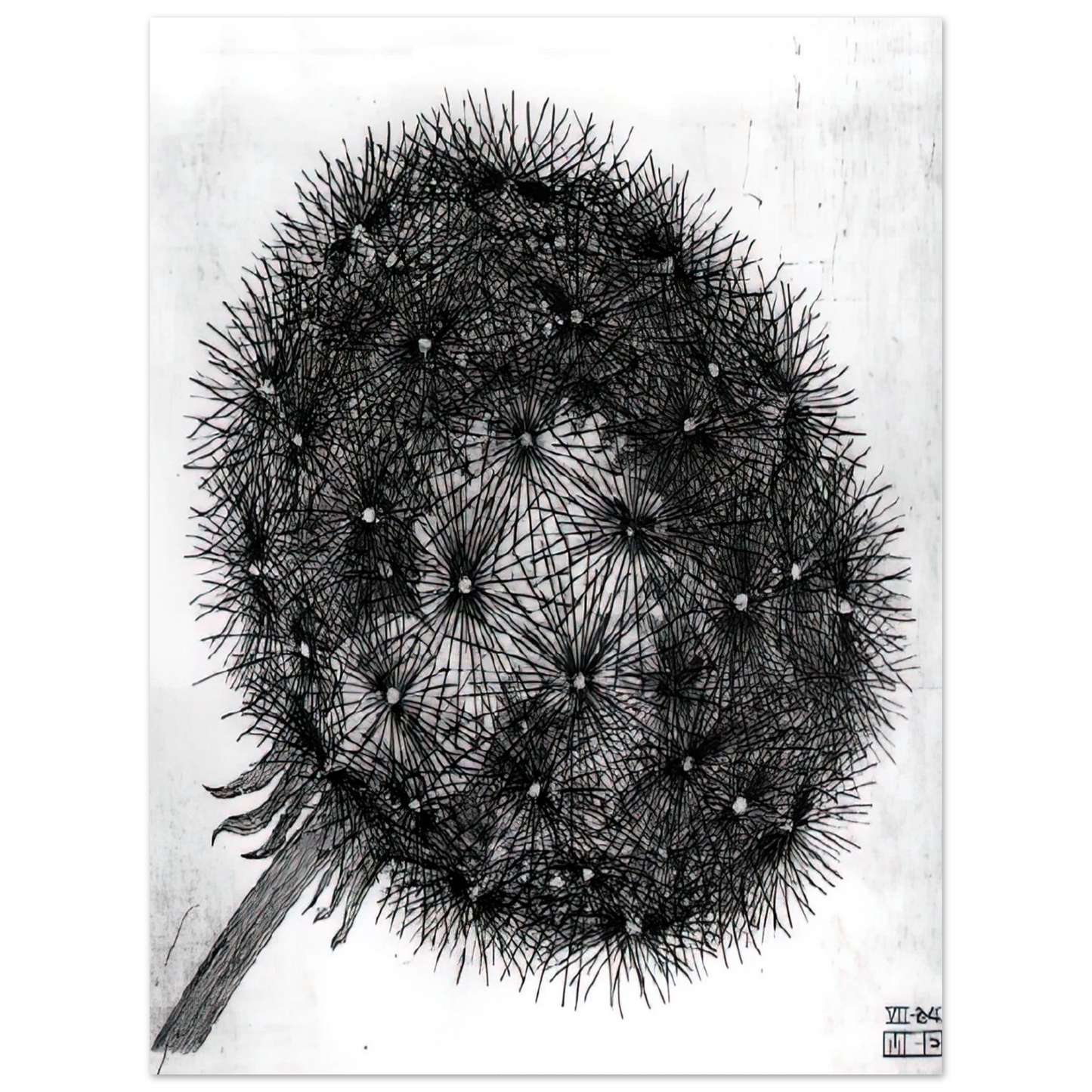MC Escher - BLOWBALL I Wall Art - 60x80 cm / 24x32 inches - Premium Wooden Framed Poster With Fine Art Paper-canvas - Black frame