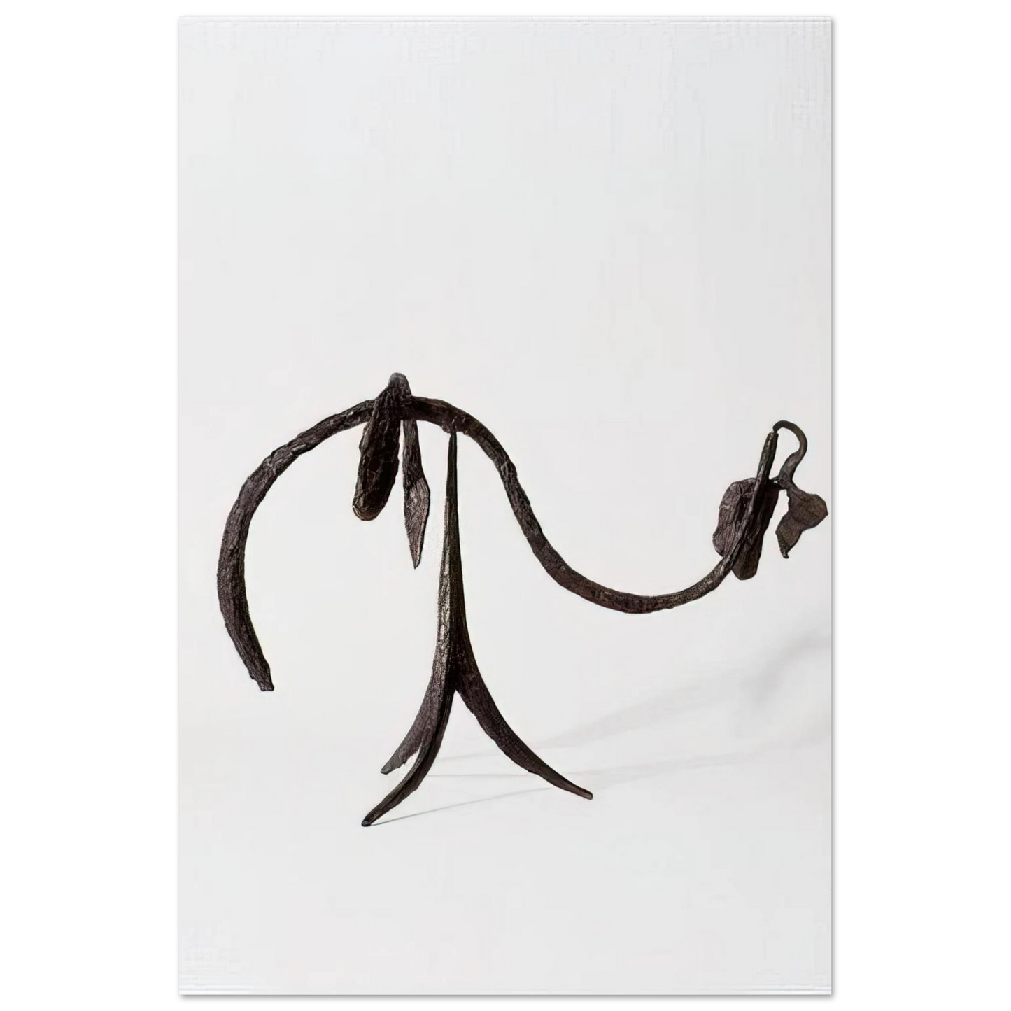 Alexander Calder - THE VINE 1944 Fine Art Poster