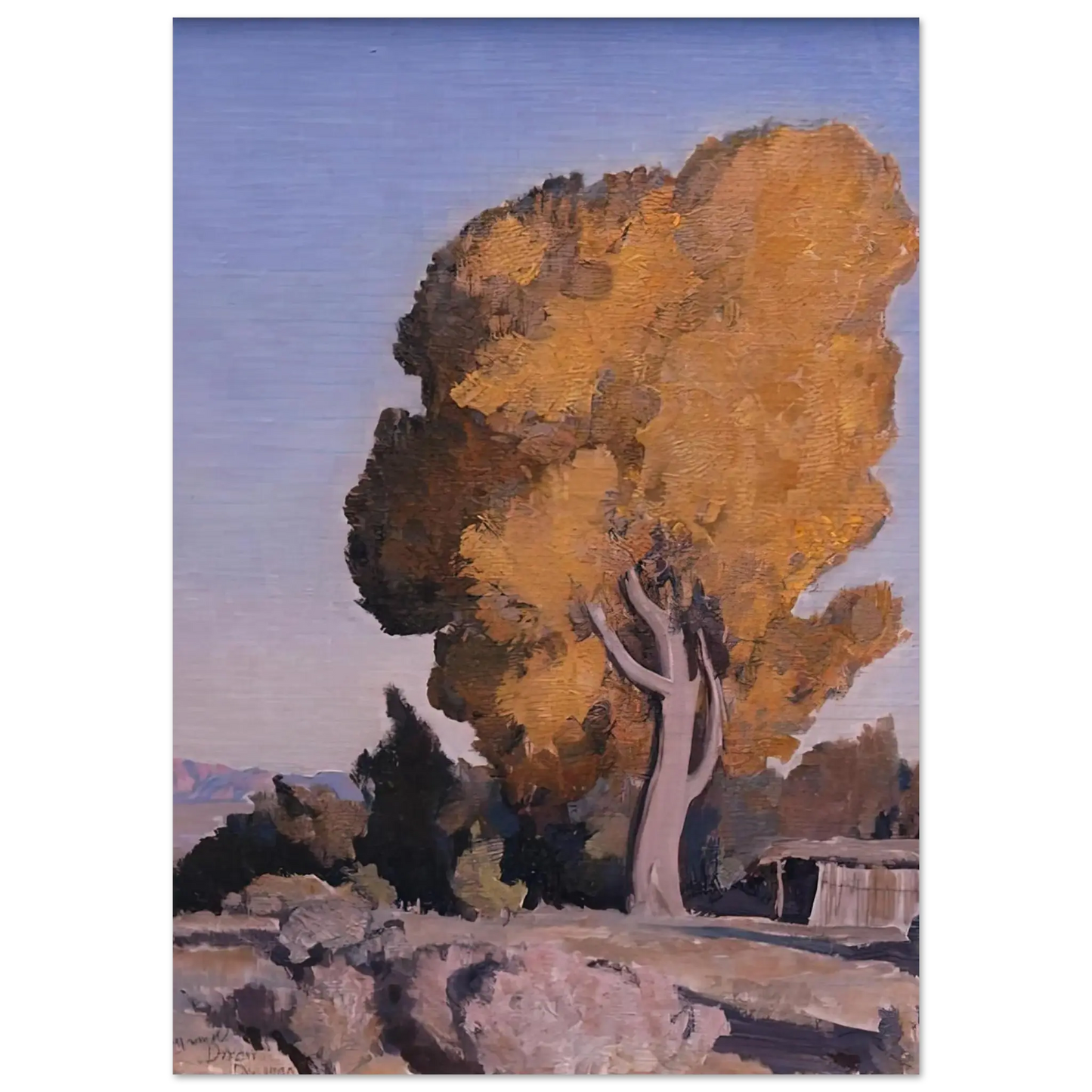 Maynard Dixon - LOW COUNTRY COTTONWOOD 1940 Wall art - 70x100 cm / 28x40 Inches - Fine Art Poster - -