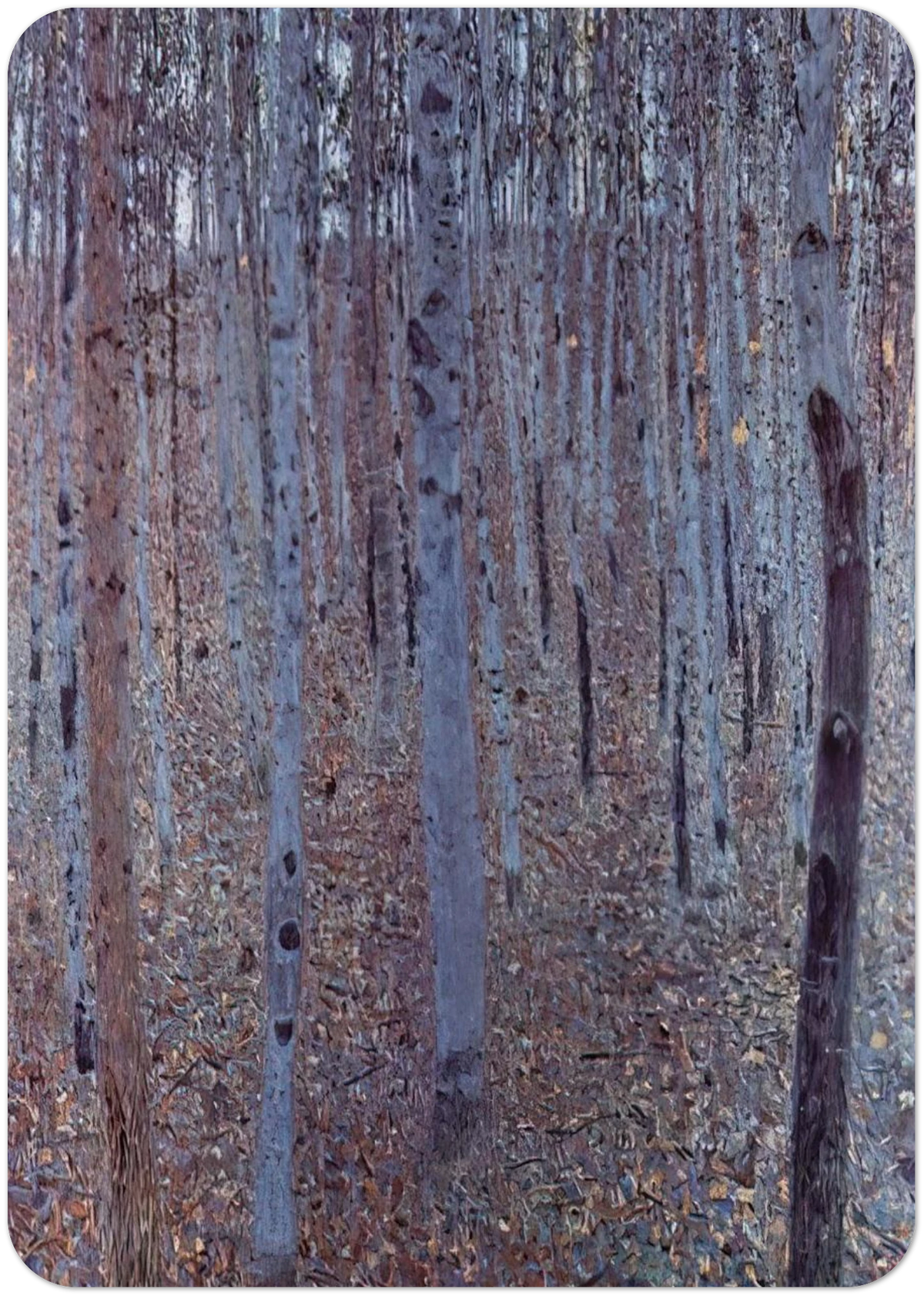 BUCHENHAIN By Gustav Klimt Pack of 10 Post Cards | Gustav Klimt Post Cards | A6 (10.5 x 14.8 cm) - 4.1 x 5.8 inches