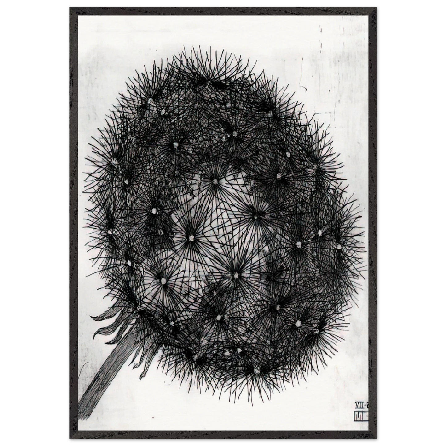 BLOWBALL I - MC Escher 70x100 cm / 28x40 inches Framed Art Print – Black Wooden Frame | Maurits Cornelis Escher Prints