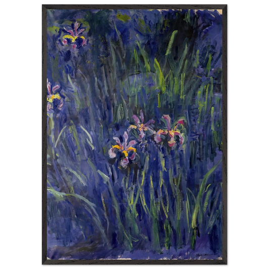 Irises 2 - claude monet 70x100 cm / 28x40 inches Framed Art Print – Black Wooden Frame