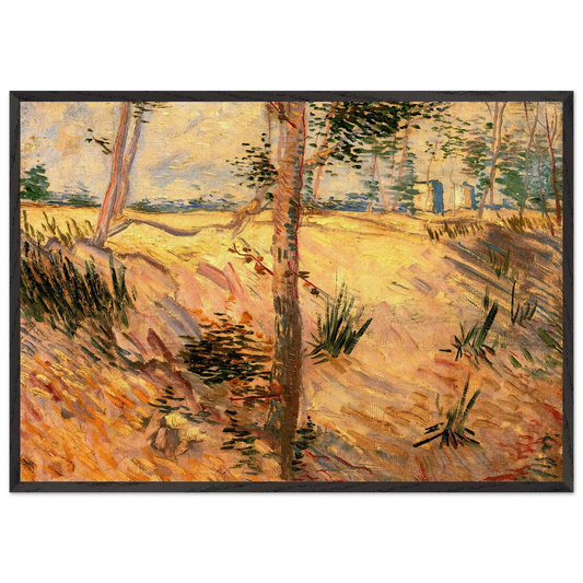 Trees in a Field on a Sunny Day - Vincent van Gogh 70x100 cm / 28x40 inches Framed Art Print – Black Wooden Frame