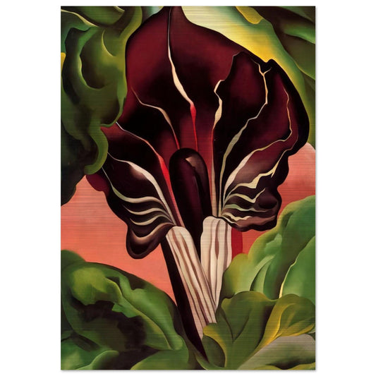 Jack-in-the-Pulpit II - Georgia O'Keeffe Brushed Aluminum Print - 70x100 cm / 28x40 inches | Georgia O'Keeffe Aluminum Print | Georgia O'Keeffe Prints