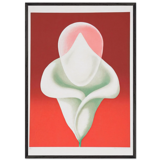 Abstract Tulip - 1979 - Clarence Holbrook Carter 70x100 cm / 28x40 inches Framed Art Print – Black Wooden Frame