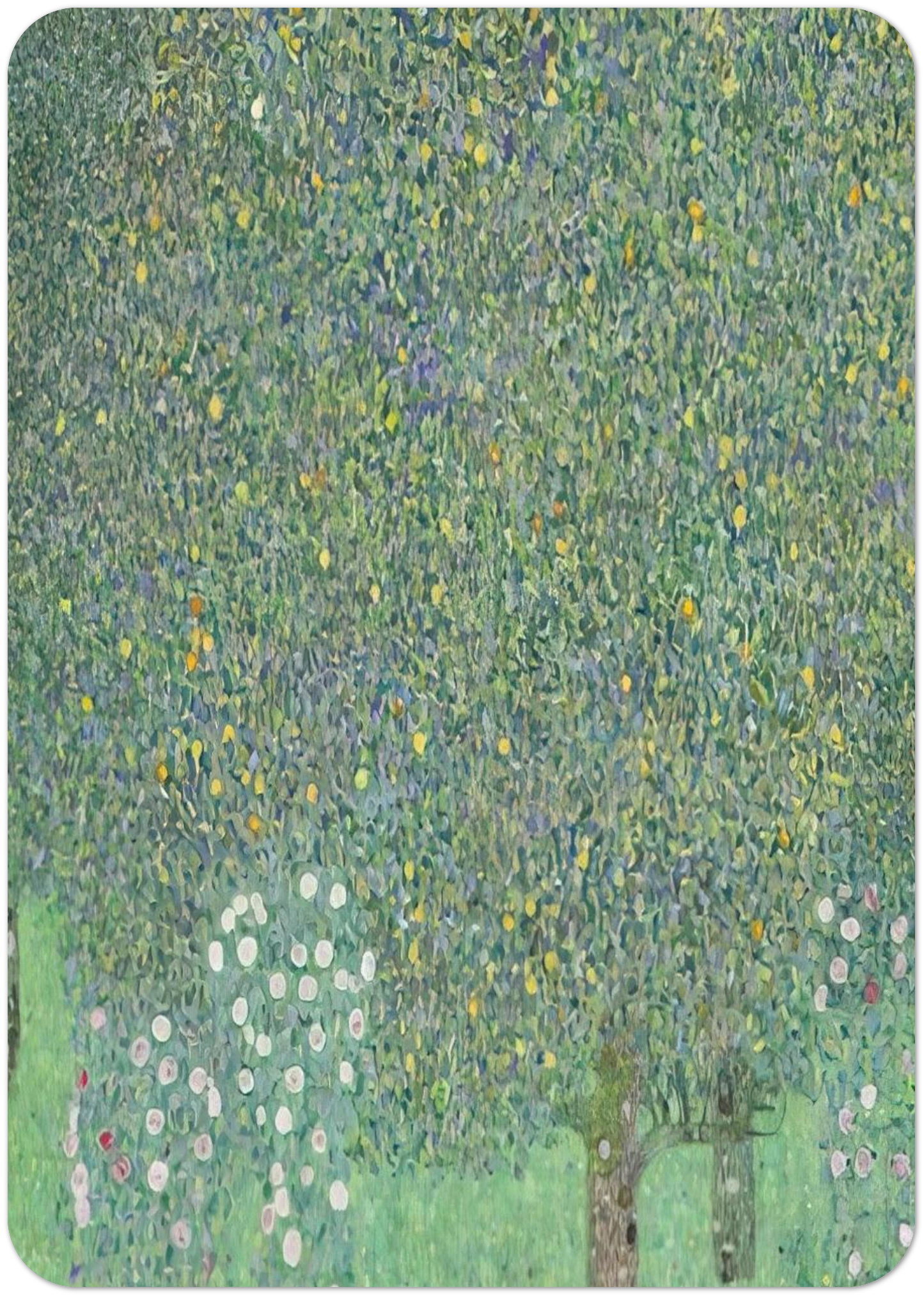 c6218807-4243-48e3-8988-479b40c081b7