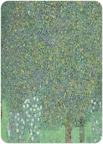 c6218807-4243-48e3-8988-479b40c081b7