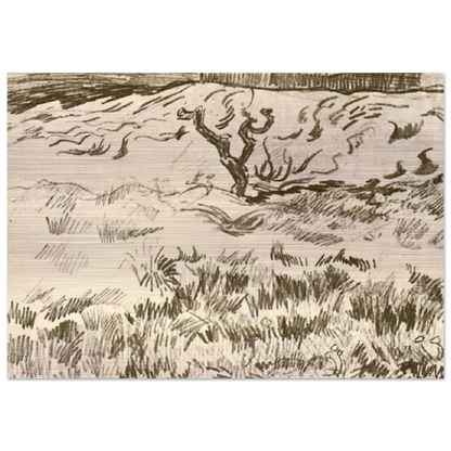Field with Bare Tree - Vincent van Gogh Brushed Aluminum Print - 70x100 cm / 28x40 inches | Vincent van Gogh Aluminum Print | Vincent van Gogh Prints