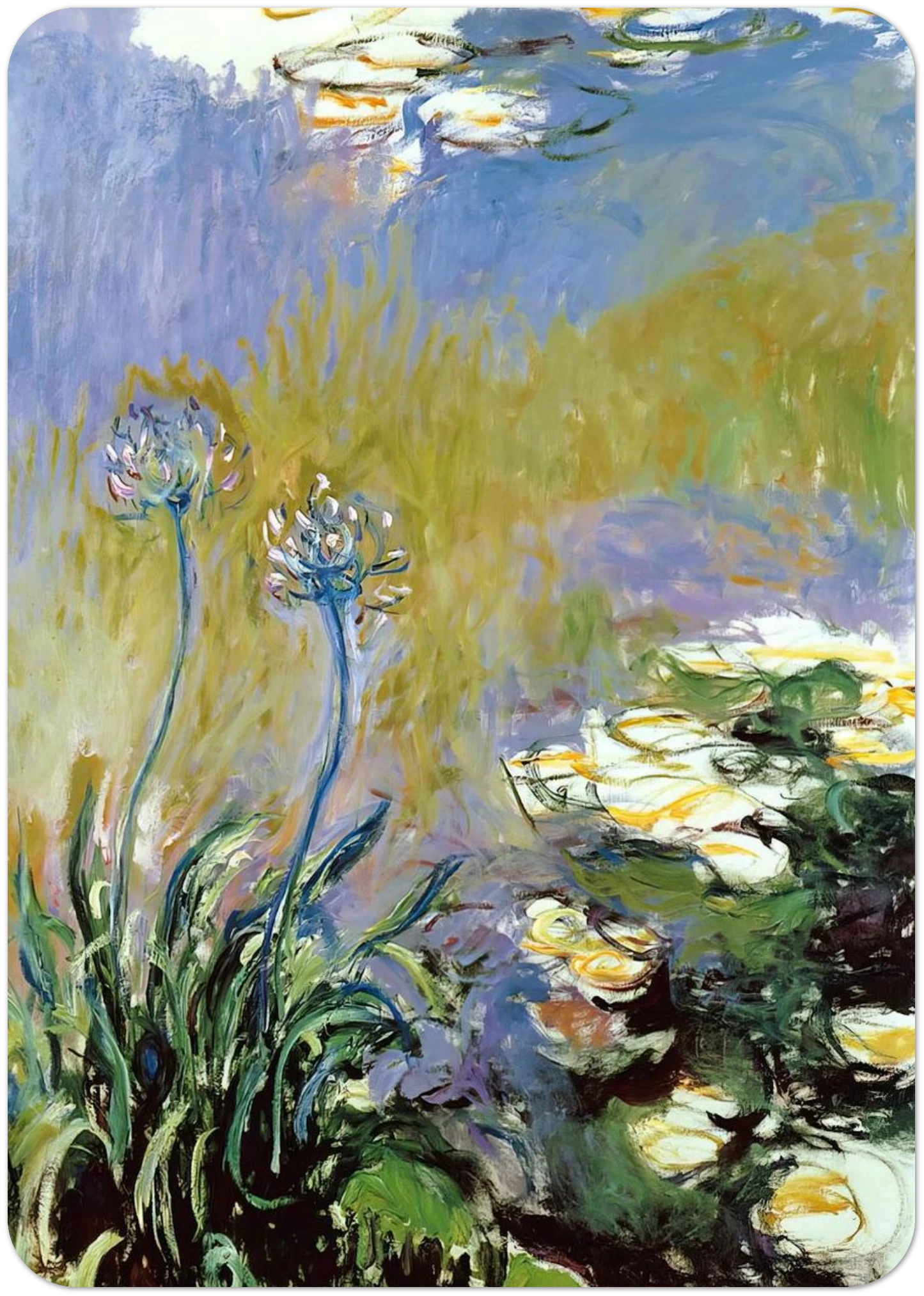 Agapanthus By claude monet Pack of 10 Post Cards | claude monet Post Cards | A6 (10.5 x 14.8 cm) - 4.1 x 5.8 inches