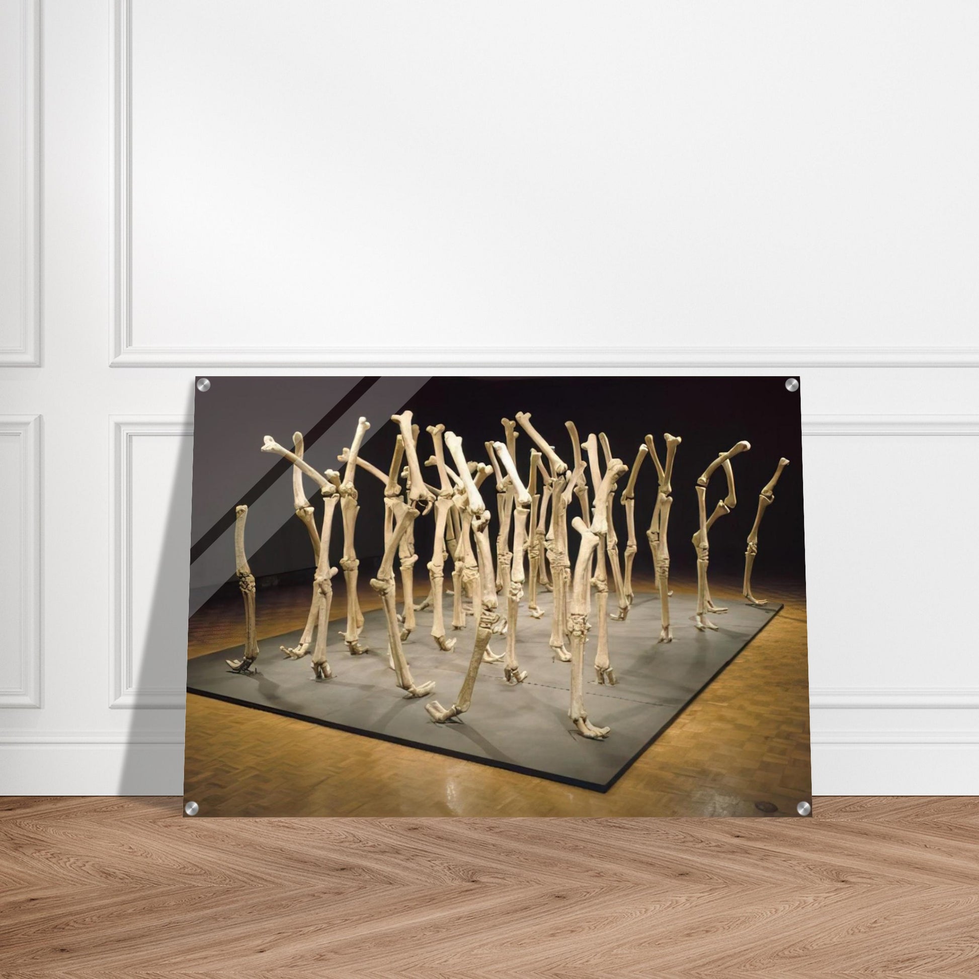 VARIABILITY OF SIMILAR FORMS 1970 - Nancy Graves Acrylic Print - 70x100 cm / 28x40″ inches | Nancy Graves Wall Art | Nancy Graves Prints