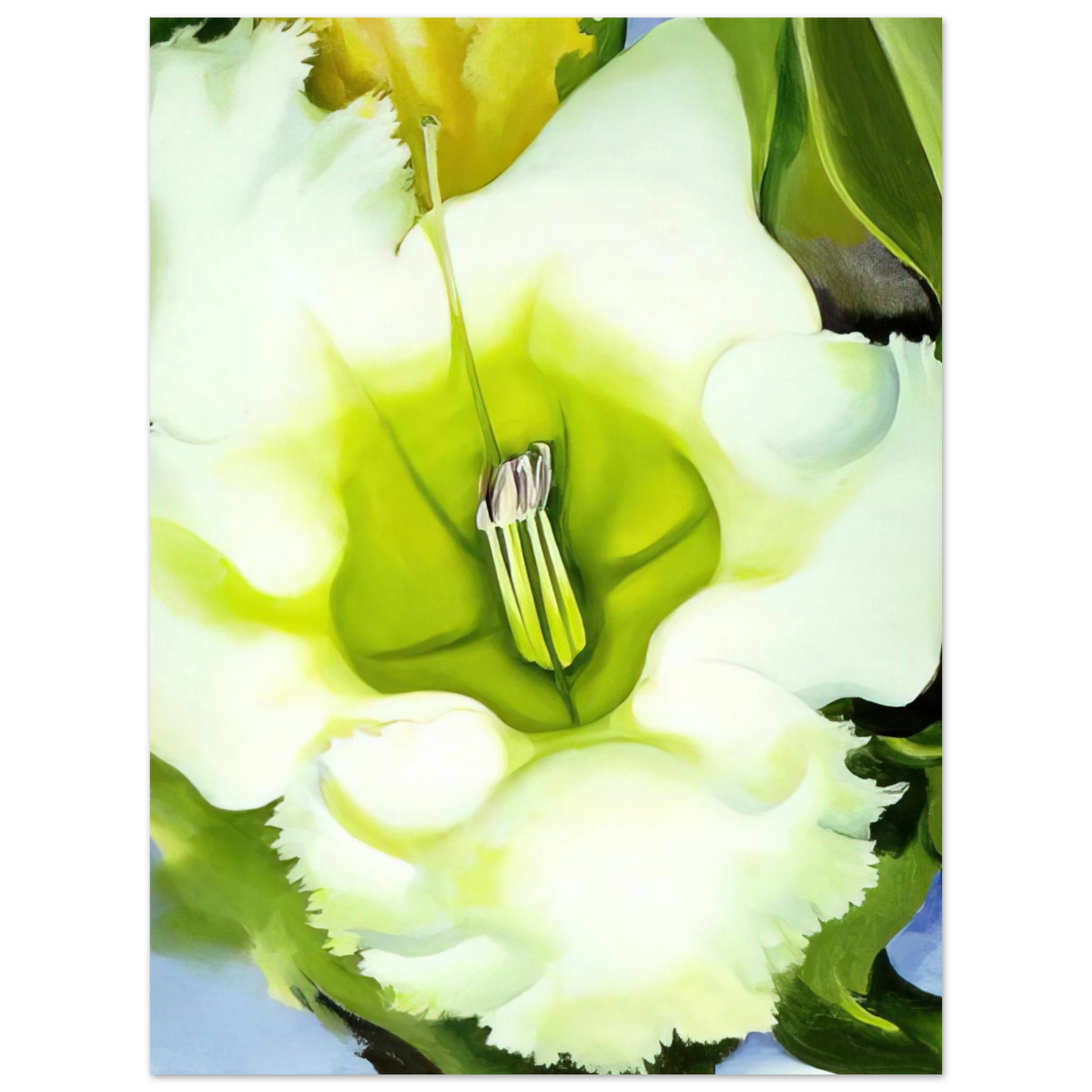 Georgia O'Keeffe - Cup Of Silver Ginger Fine Art Poster