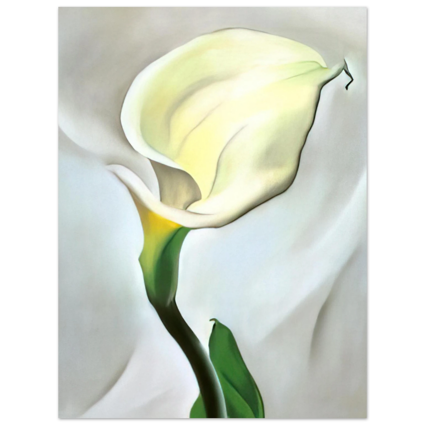 Georgia O'Keeffe - Calla Lily Turned Away Fine Art Poster