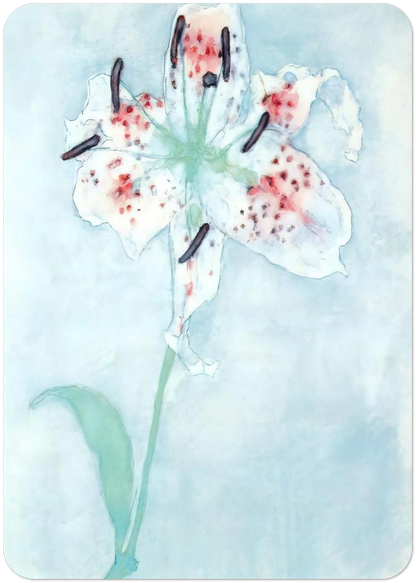 Lily By Piet Mondrian Pack of 10 Post Cards | Piet Mondrian Post Cards | A6 (10.5 x 14.8 cm) - 4.1 x 5.8 inches
