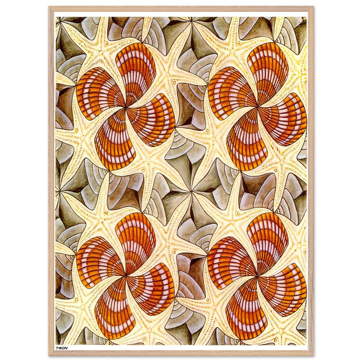 MC Escher - SHELLS AND STARFISH Wall Art - 30x40 cm / 12x16 inches - Fine Art Poster - -