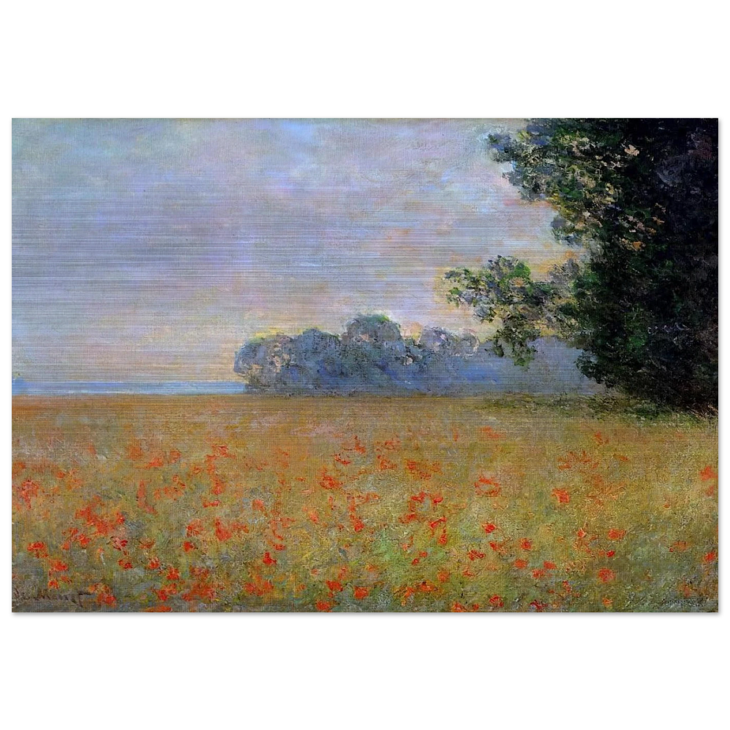 Oat and Poppy Field - claude monet Brushed Aluminum Print - 70x100 cm / 28x40 inches | claude monet Aluminum Print | claude monet Prints
