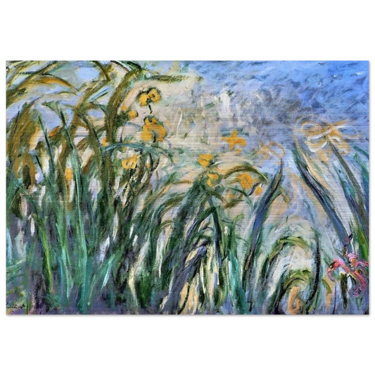 Yellow Irises and Malva - claude monet Brushed Aluminum Print - 70x100 cm / 28x40 inches | claude monet Aluminum Print | claude monet Prints