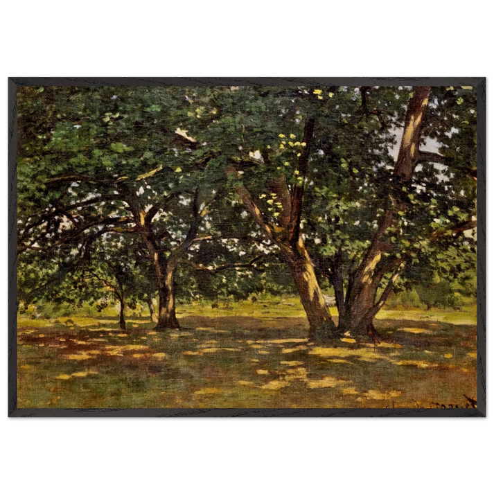 Fontainebleau Forest - claude monet 70x100 cm / 28x40 inches Framed Art Print – Black Wooden Frame