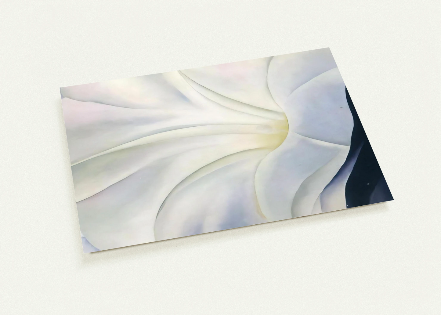 Morning Glory with Black By Georgia O'Keeffe Pack of 10 Post Cards | Georgia O'Keeffe Post Cards | A6 (10.5 x 14.8 cm) - 4.1 x 5.8 inches