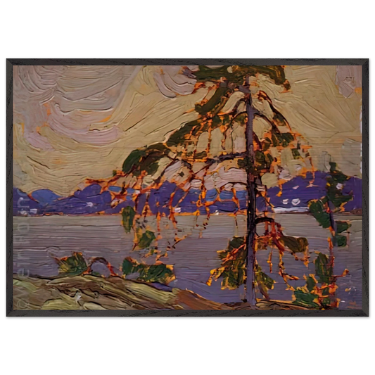 SKETCH FOR THE JACK PINE 1916 - Tom Thomson 70x100 cm / 28x40 inches Framed Art Print – Black Wooden Frame