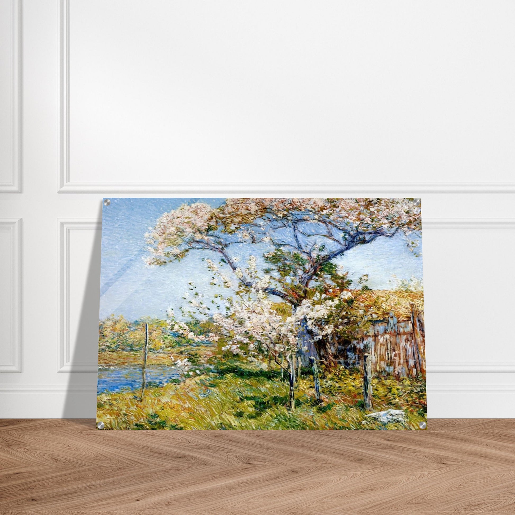 Apple Trees in Bloom, Old Lyme - Childe Hassam Acrylic Print - 70x100 cm / 28x40″ inches