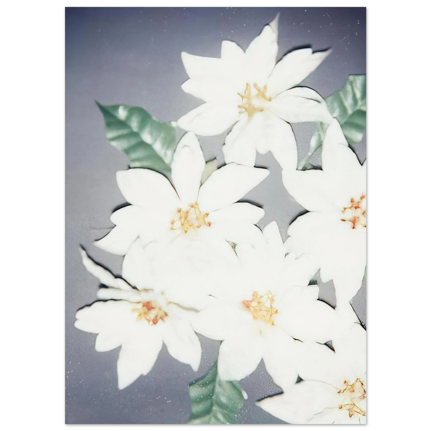 Andy Warhol - Christmas Poinsettias-White Fine Art Poster