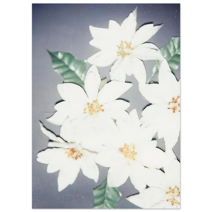 Andy Warhol - Christmas Poinsettias-White Fine Art Poster